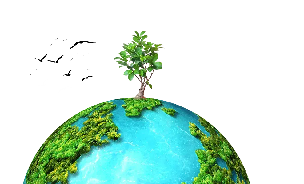 Financial Commitment